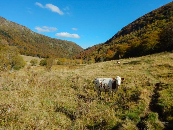 Une immersion photographique au coeur de la réserve naturelle de la vallée de Chaudefour au coeur de l’Auvergne à la découverte des techniques de la photo de paysages.