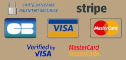 logo-payline-paiement-securise_copie_large.jpg